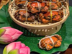 -欢乐蟹庄·精品农家乐(阳澄湖莲花岛店)