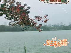 -青鹤谷(苏州店)