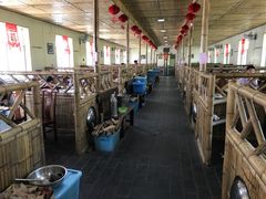 大堂-大鹅岛灶台鱼·铁锅炖(水库路店)