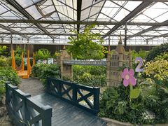 -南宫五洲植物乐园