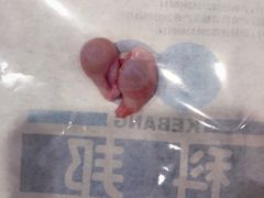 -伟伟宠物医院·CT影像中心·瑞派犬猫综合性门诊(汉口总院)