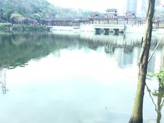 -重庆彩云湖湿地公园