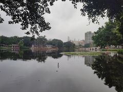 -荔湾湖公园