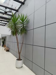 -无界瑜伽普拉提