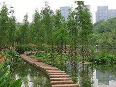 -重庆彩云湖湿地公园