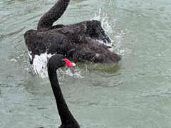 -东钱湖小普陀景区