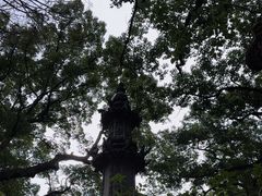 -普陀山风景名胜区-法雨禅寺