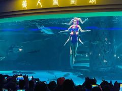 -西双版纳原始森林公园