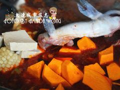 鱼锅排骨-屯靠屯地锅王(西南路店)