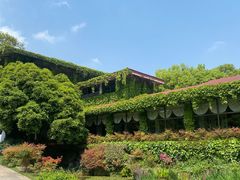 -中国茶叶博物馆(双峰馆区)