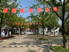 -青枫公园