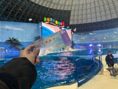 -泉城欧乐堡海洋极地世界