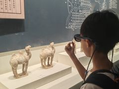 -隋唐大运河文化博物馆