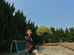-南沙蒲洲花园