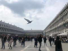 -圣马尔谷圣殿宗主教座堂