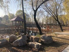 -微山湖红荷湿地景区