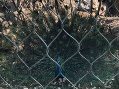 -无锡动物园·太湖欢乐园
