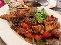 -Daddy Nimman Chiang Mai