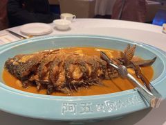 -阿五黄河大鲤鱼(纬三路店)