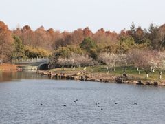 -上海海湾国家森林公园