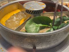 -巴奴毛肚火锅(二七万达店)