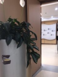 -南京康美美容医院·旗舰店
