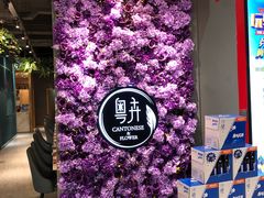 -高新·活力城Village