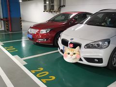 -虹口龙之梦购物中心·停车场