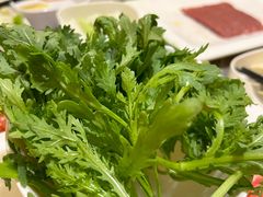 -君邦火锅(新疆大厦店)