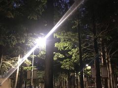 -大连理工大学(凌水校区)
