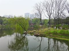 -月湖风景区