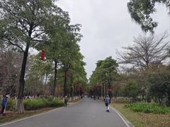 -海珠湖公园