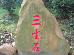 -李小龙乐园(顺德均安店)
