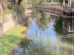 -兰溪青年公园