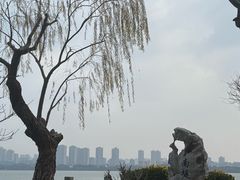 -无锡蠡湖国家湿地公园-蠡园