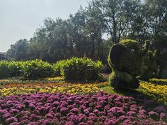 -沈阳植物园