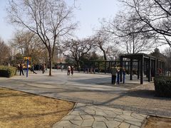 -玲珑塔公园