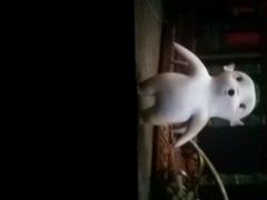 -博纳国际影城(淄博店)