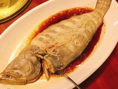 -hallch好吃餐厅(奥体中心店)