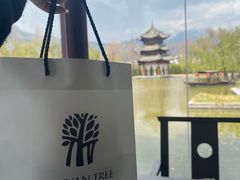 -丽江悦榕庄酒店-明月·雪山庭院餐厅