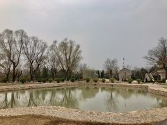 -大槐树寻根祭祖园