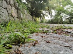 -黑河国家森林公园