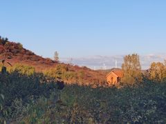 -御道口草原森林风景区