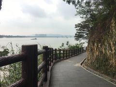 -羚羊峡古栈道森林公园