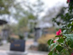 -甘棠公园