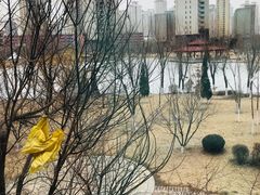 -沈阳于洪碧桂园凤凰酒店