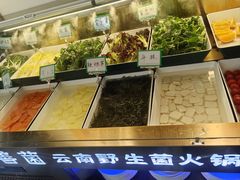 -一善菌·云南菌汤·云南菜(银泰城店)