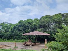-宁波野生动物园