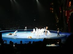 -珠海横琴长隆《卡卡虎奇遇记》