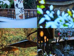 -宁波五龙潭景区